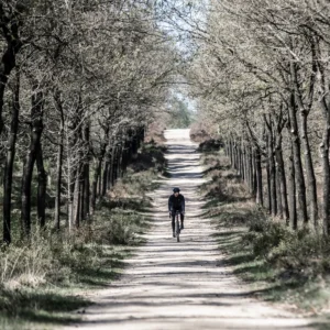 Rogelli ARTICO - męskie zimowe spodnie rowerowe z szelkami bez wkładki - obrazek 5
