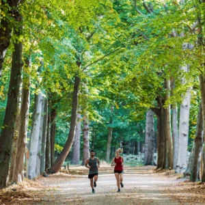 Rogelli CORE - damski podkoszulek sportowy bordowy - obrazek 12