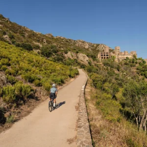 Rogelli ESSENTIAL GRAPHIC męska koszulka rowerowa - obrazek 9