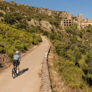 Rogelli ESSENTIAL GRAPHIC męska koszulka rowerowa - obrazek 10