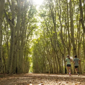 Rogelli ACE - męska koszulka funkcyjna szara - obrazek 12