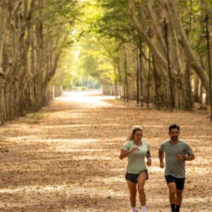Rogelli ACE - męska koszulka funkcyjna szara - obrazek 10